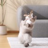 FUKUMARU Cat Toy Replacement Bell and Feather Set