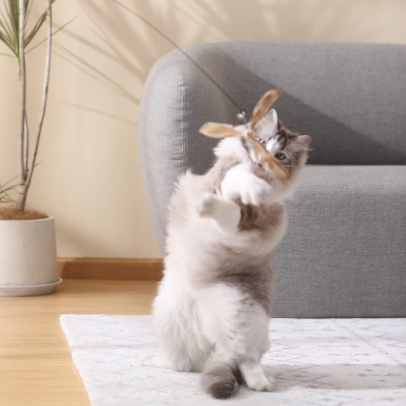 FUKUMARU Cat Toy Replacement Bell and Feather Set