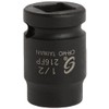 SUNEX TOOLS 216fp 1/2-Inch Drive 1/2-Inch Female Pipe Plug Socket