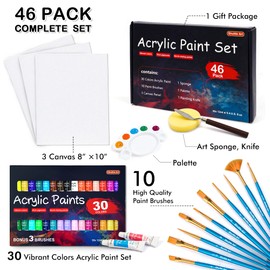 46 Pack Acrylic Paint Set, Shuttle Art 30 Colors Acrylic Paint with 10 Paint Brushes 3 Painting Canvas 1 Paint Knife Palette Sponge, Complete Gift Set for Kids, Adults Painting Canvas, Wood, Ceramic
