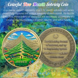 Original Two Month Sobriety Coin - Green Mountain 2 Month AA Coins - Recovery Addiction NA AA Chips and Medallions - Celebrate Clean 1-12 Months Narcotics Alcoholics Anonymous Gifts for Men Women