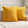 MIULEE Set of 2 Velvet Soft Solid Decorative Square Scatter