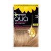 Garnier Olia Permanent Hair Dye, No Ammonia, Full Grey Coverage,