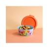 Koziol Bowl with Lid Nora Box 1.3 L Blooms Multicoloured
