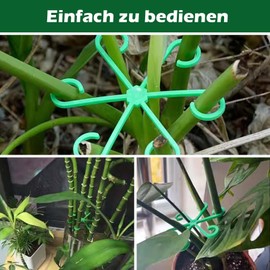 Generisch Pack of 16 Plant Support Perennial Holders, Plant Stem Holder, Plant Support Gripper, Plant Clips for Monstera, Alocasia, Tomatoes, Hydrangeas - Black, Green - Polypropylene - Flat Top