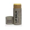 Noosa Basics Organic Lip Balm (Coconut) 15g
