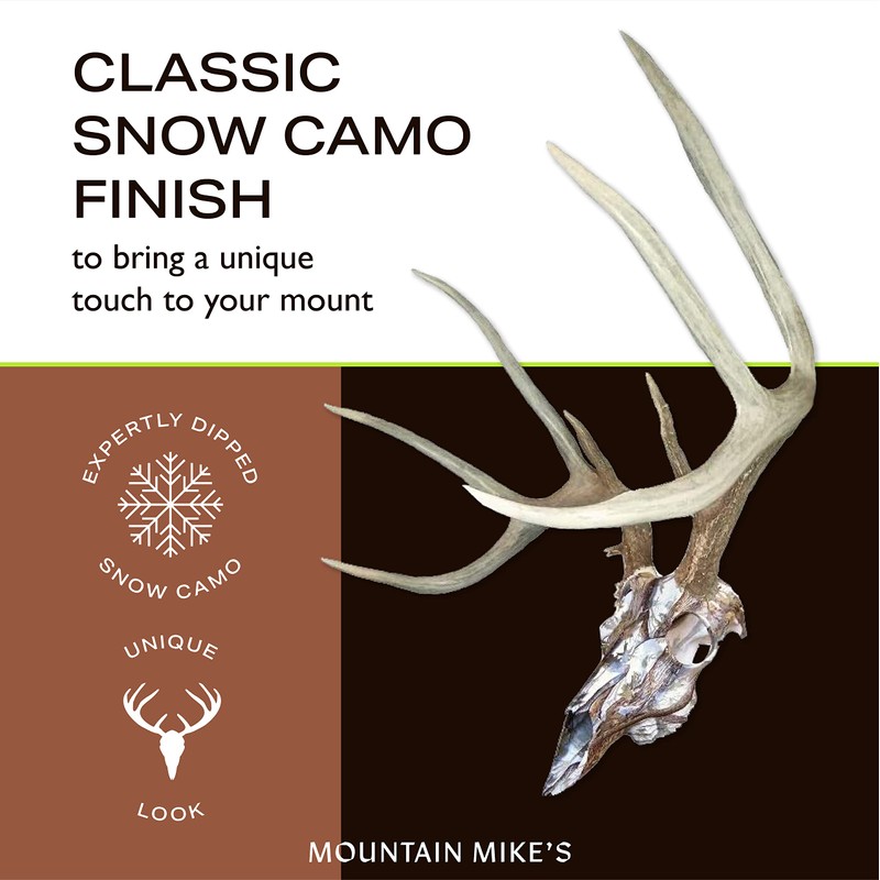 Skull Master by Illusion | Snow Camo | European Mount