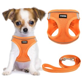 YIMEIS Dog Harness and Leash Set, No Pull Soft Mesh Pet Harness, Reflective Adjustable Puppy Vest for Small Medium Large Dogs, Cats (Orange01, X-Small (Pack of 1)