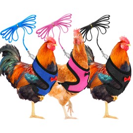 3 Pieces Adjustable Chicken Harness and Leash for Hen Roosters Comfortable Hen Pet Vest with Matching Belt Breathable Chicken Training Harness for Chicken, Duck or Goose (Blue, Pink, Black,S)