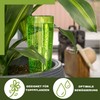 Scheurich Copa M Irrigation Water Dispenser Irrigation Ball Green Transparent