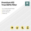 116130 Replacement Filter H for Winix 5500-2 AM80 Plasmawave Air