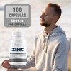 Zinc Con Vitamina C Y Jengibre 500mg - 100 Cáps