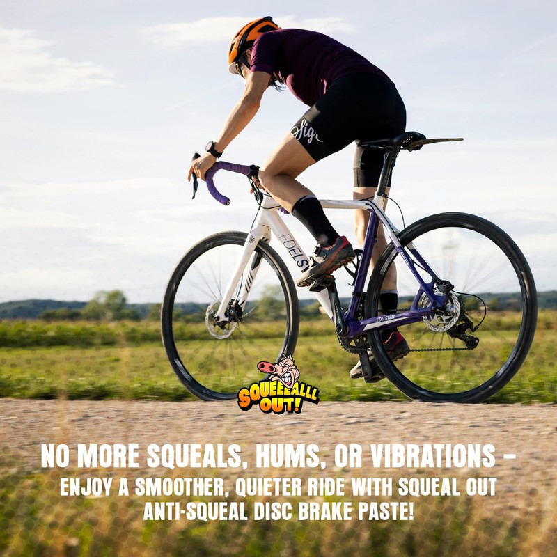 Squeal Out Anti-Squeal Disc Brake Paste, Brake Lubricant, 3 oz