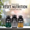 Reset Nutrition Memory Neuro Active Mind Matrix 60 Cápsulas Suplemento