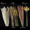 50PCS Natural Dried Pampas Grass Contains Bunny Tails Dried Flowers,