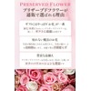 Preserved Flower IPFA Watch (Pink / White) Wedding Gift, Birthday