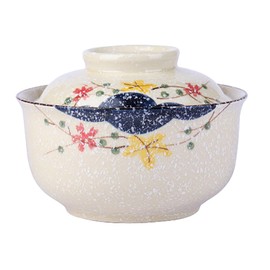 FYUEROPA Ceramic Ramen Bowl with Lid, 25 Oz Big Bowl for Noodle, Soup, Porridge and Rice, Japanese Bowl, Korean Clay Pot, Oven, and Microwave Safe