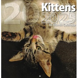Bachmann Press 2025 Kittens Full Size Wall Calendar for Planning, Scheduling, and Organizing
