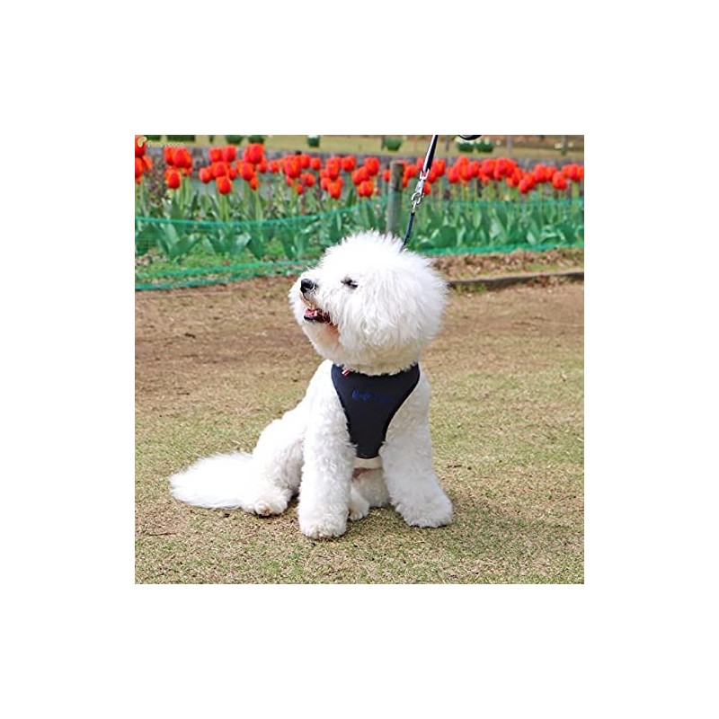 Pompolice Long Run Harness, Pet Products Professional Manufacturer Pompolice