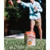 Waterloo Sparkling Water, Peach Naturally Flavored, 12 Fl Oz Cans