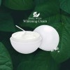 Bidameun Crema Aclarante Anti-arrugas De Baba De Caracol. Normal Danoche