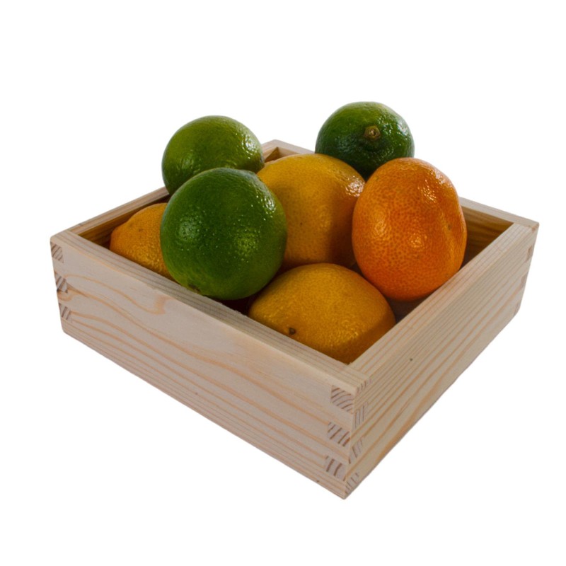 Square Wooden Open Display Presentation Box | 16 x 16