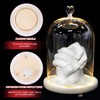 Beaupretty Romantic Couple Hand Ornament with Glowing Glass Dome Cover