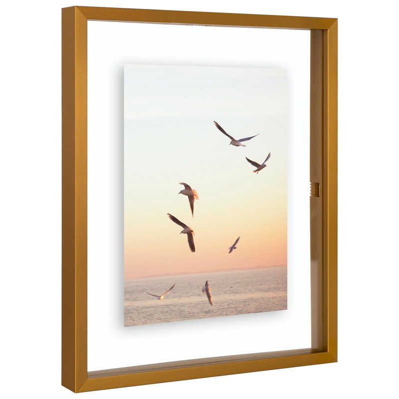 Frametory, 8x10 Floating Picture Frame - Metal Photo Frame -