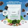 60 Ct of Supergreens Daily Gummies – Wellness Formula with