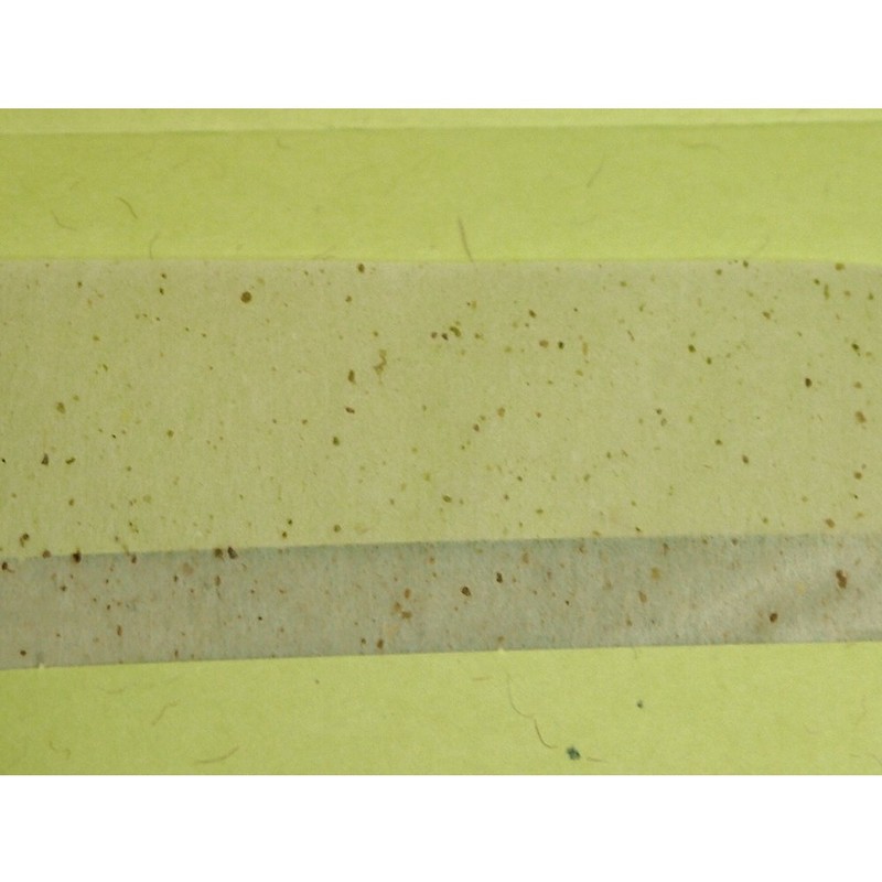 米長 Natural Green Tea Blend Large Brown Space Paper Luxury