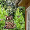 Outside Wild Bird Feeder, Heavy Duty Metal Frame Outdoor Bird