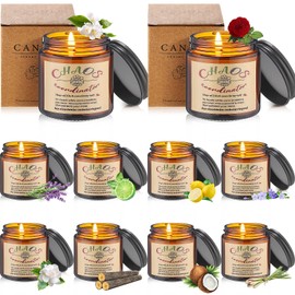 Conelist 10 Pcs Chaos Coordinator Gifts Candles Christmas Chaos Coordinator Scented Candles Gifts 3.5 oz Thank You Scented Soy Wax Inspirational Jar Candle for Coworkers Employee Boss Teacher (Tawny)