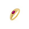 YoTreasure Lab Created Ruby Band Ring 14k Gold Plated Over