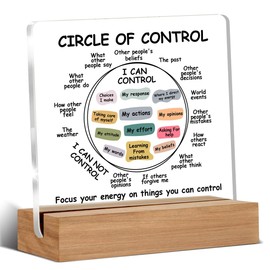 Therapist Office Decor Mental Health Office Decor Psychology Gifts Focus Energy on Things I Can Control Acrylic Sign Cubicle Decorations for Women Desk