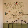 Runtoo Bird Wall Decals Peel and Stick Tree Branch Wall
