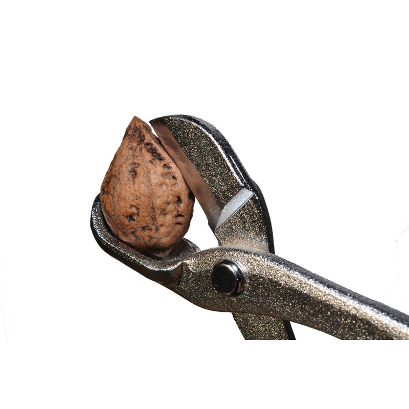 古沢製作所 和くるみ割り器&ほじくるみんセット サイズ:200mm/130mm