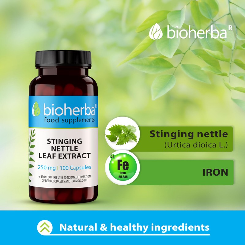 Stinging Nettle Leaf Extract 250 mg – 100 Capsules |