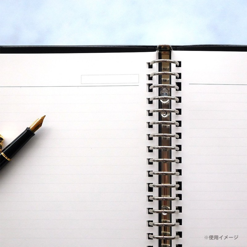 Maruman Loose Leaf A4 Jiuris Horizontal Ruled 0.3 inch (7