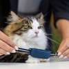Tractive GPS CAT 4 Collar Attachment x3 TRAMINRS3D ABS for