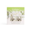 Wax Lyrical, Colony Jasmine & Oud Tealights, White
