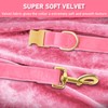 GAMUDA Collar y correa de terciopelo para perro, súper suave