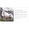 Alafoss Lopi Iceland Wool 0010 denim, Wool for Iceland Sweaters,