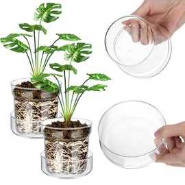 Baderke 4 Inch Glass Plant Pots with Saucer, Flower Nursery Plant Pots with Drainage for Flower Seed Starter Transparent Seedling (2 Sets)