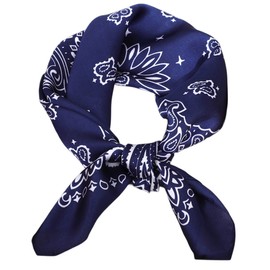 FAIRYGATE Schal Blau Damen Kopftuch Seide Schal Damen Halstücher Seidentuch Schals Halstuch Damen Seide Seidenschal Scarf Bandana Taschentuch Ansatz Handgelenk Kopftücher DA2213