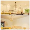 SHINESTAR Dimmable E12 Candelabra LED Light Bulbs, 60W Equivalent, 5.5W