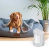 Hive Pet Friendly Motion Sensor