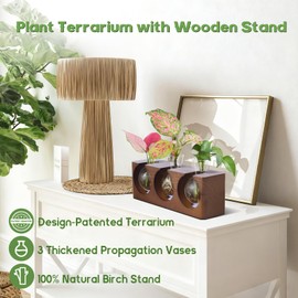 Plant Propagation Station with Wooden Stand, Plant Terrarium with 4 Mode 9-Level Adjustable LED Lights, 3 Glass Propagation Vases for Hydroponics, Propagation Tubes Unique Gifts for Women Home Decor