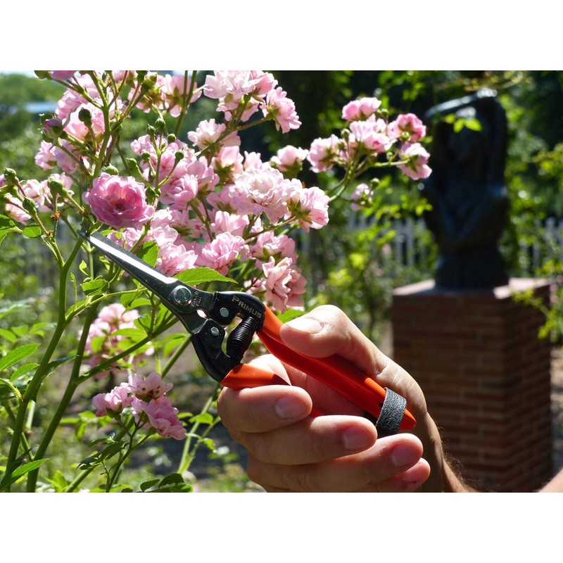 Garten Primus 01040 Garden Shears, Rose Shears, Vine Shears, Florist