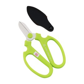 handokurie-syon Light Green F170