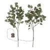 Evergreen Eucalyptus Branch, 32 LED Lights Set of 2